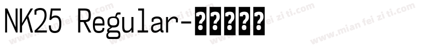 NK25 Regular字体转换